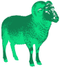 Барашек